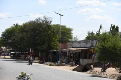 DSC_2633 (Large).JPG